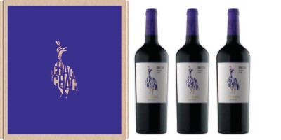 Estuche Chac Chac Malbec