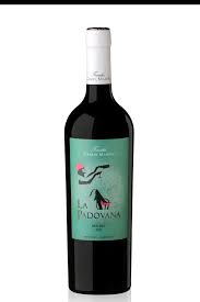 La Padovana Malbec Joven