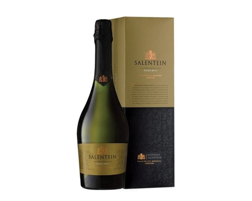 [ES00281] Estuche Champagne Salentein E/B