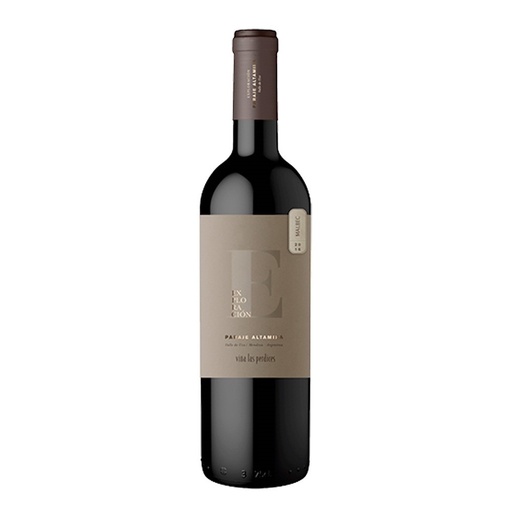 [VTM00050] Exploración L P Paraje Altamira Malbec