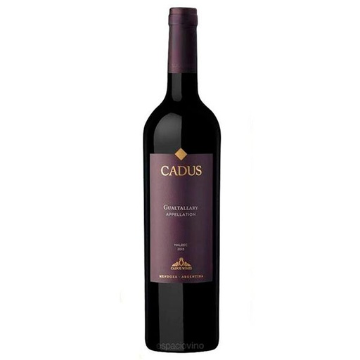 [VTM00060] Cadus App Gualtal Malbec