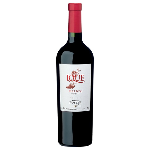 [VTM00109] Ique Malbec Foster