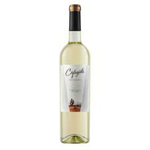 [VBT00202] Cafayate Reserva Torrontes