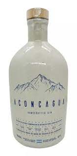 Gin Aconcagua Botellon Ceramica 1L